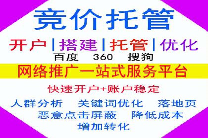 百度SEO推广成功案例：品牌知名度提升